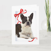 Carte de Noël de Boston Terrier (Devant)