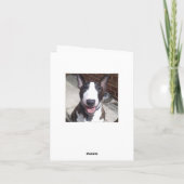 Carte de Noël de bull-terrier (Dos)