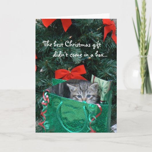 Carte de Noël de cadeau de chaton (Devant)