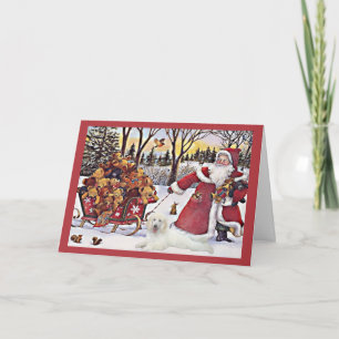Carte de Noël de caniche Père Noël Ours en traînea