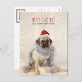 Carte de Noël de carlin (Devant / Derrière)