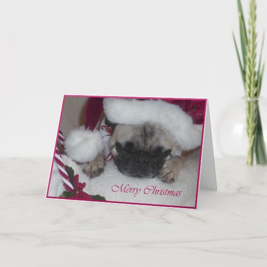 Carte de Noël de carlin (Devant)