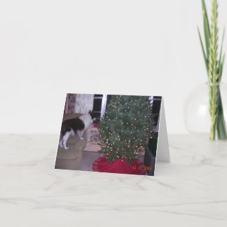 Carte de Noël de Cassie