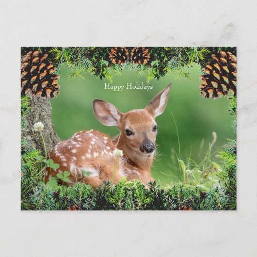 Carte de Noël de cerfs à queue blanche (Devant)