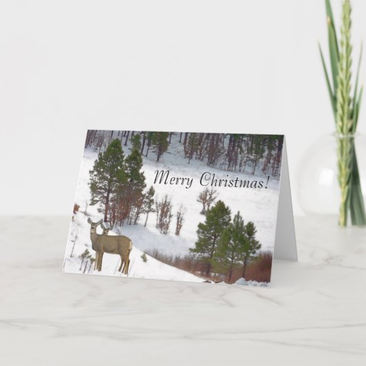 Carte de Noël de cerfs communs (Devant)
