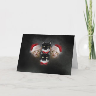 Carte de Noël de chat Bohemian Catsody