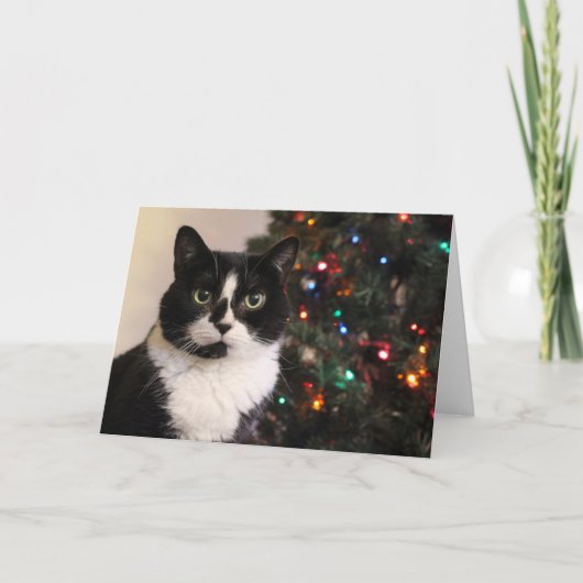 Carte de Noël de chat de smoking (Devant)