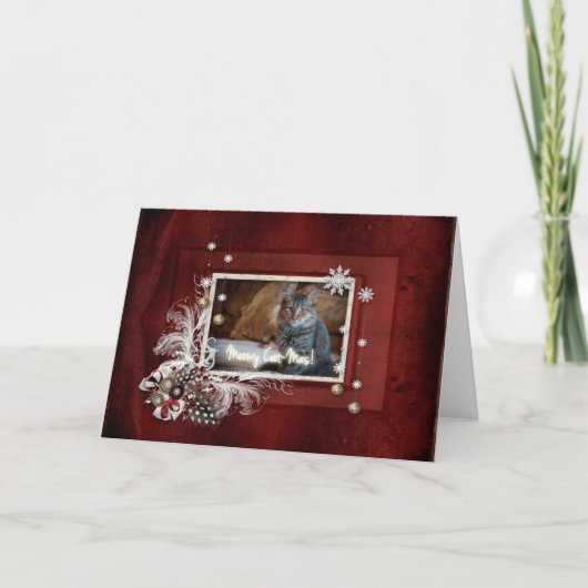 Carte de Noël de chat de vacances (Devant)