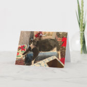 Carte de Noël de chat drôle (Dos)
