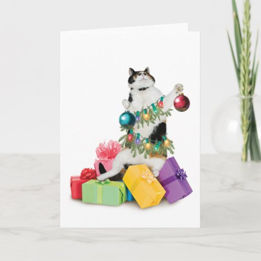 Carte de Noël de chat drôle mignonne adorable meil (Devant)