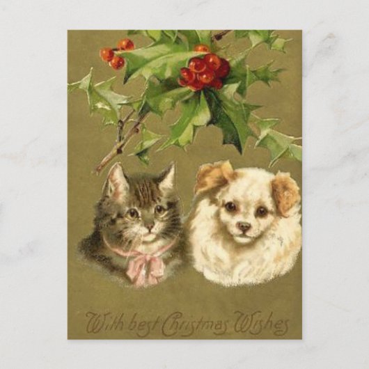 Carte de Noël de chat et de chien (Devant)