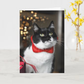 Carte de Noël de chat - Joyeux Noël miaou (Fleur jaune)