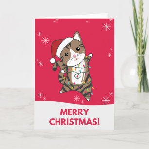 Carte de Noël de chat neige hiver Animaux Chats
