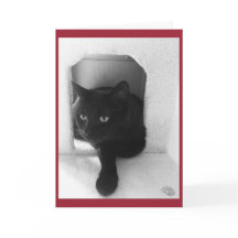 Carte de Noël de chat noir