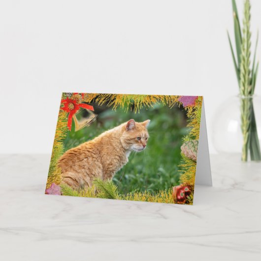 Carte de Noël de chat orange (Devant)