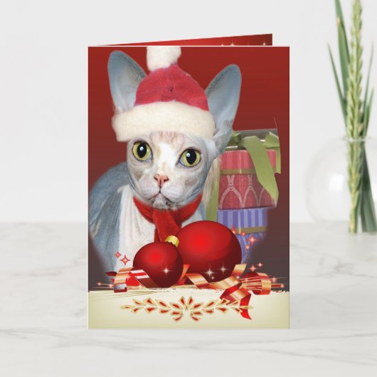 Carte de Noël de chaton de Sphynx (Devant)