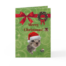 carte de Noël de chaton drôle