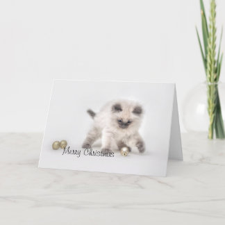 Carte de Noël de chaton Ragdoll