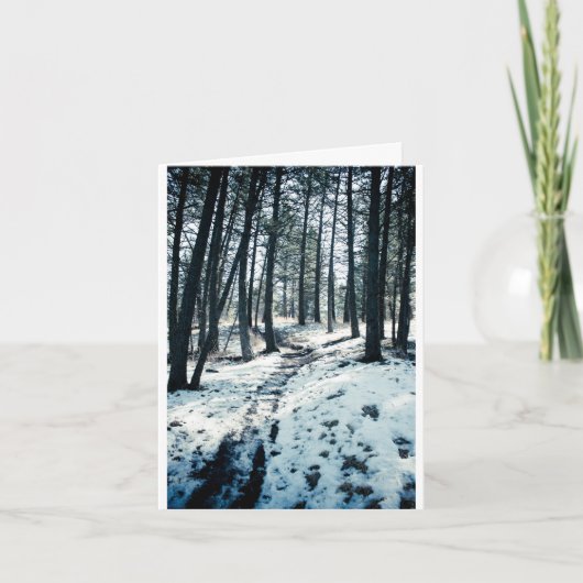 Carte de Noël de chemin d'hiver (Devant)