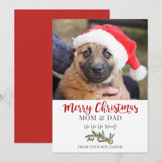 Carte de Noël de chien (Devant / Derrière)