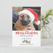 Carte de Noël de chien (Debout devant)