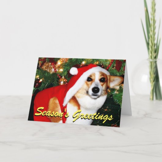 Carte de Noël de chien de corgi (Devant)