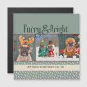 Carte de Noël de chien de Furry & Bright Photo de  (Devant / Derrière)