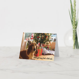 Carte de Noël de chien de garde de Basset modifiab