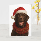 Carte de Noël de chien Labrador Retriever au choco (Fleur jaune)
