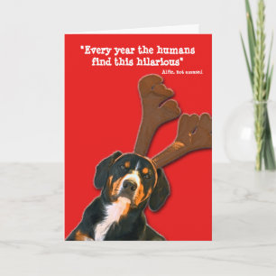 Carte de Noël de chien - Les humains trouvent cett