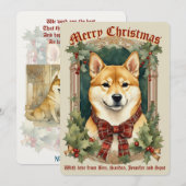 Carte de Noël de chien Shiba Inu (Devant / Derrière)