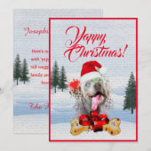 Carte de Noël de chien Weimaraner personnalisable (Devant / Derrière)