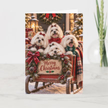 Carte de Noël de chiens maltais