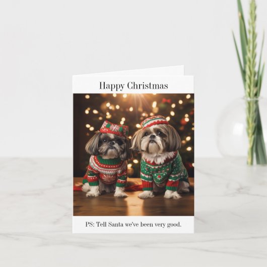 Carte de Noël de chiens Shih Tzu (Devant)