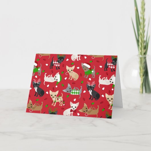 Carte de Noël de Chihuahua (Devant)