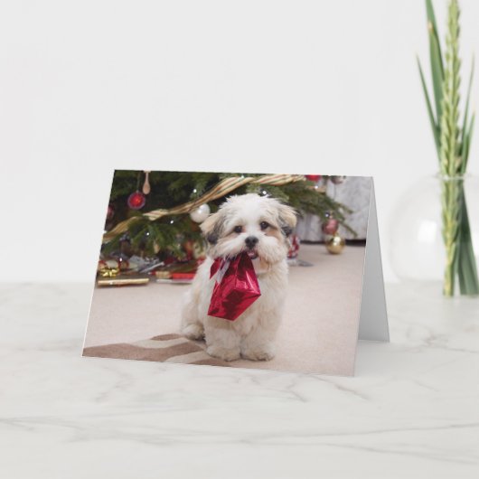Carte de Noël de chiot (Devant)