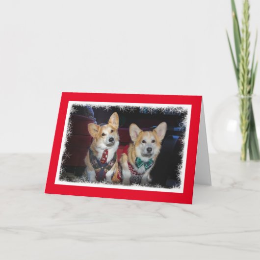 Carte de Noël de Corgi doux (Devant)