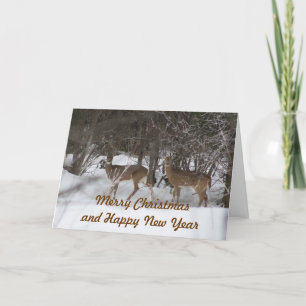Carte de Noël de deux cerfs communs