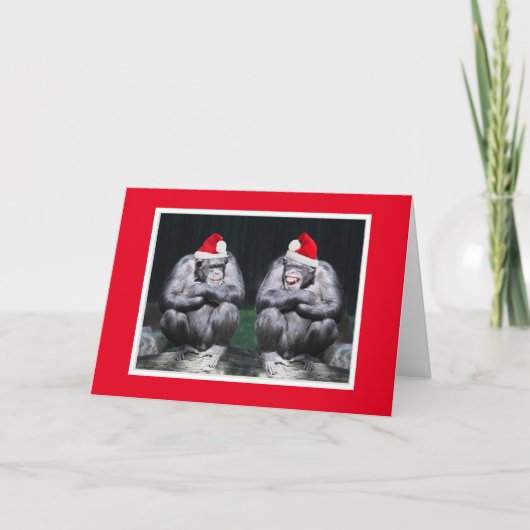 CARTE DE NOËL DE DEUX CHIMPANZÉS EN BONNETS DE PÈR (Devant)