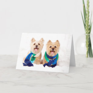 Carte de Noël de deux terriers de cairn
