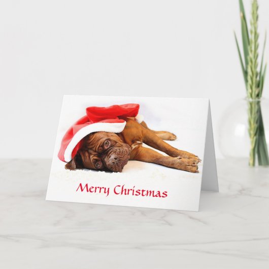 Carte de Noël de Dogue de Bordeaux (Devant)