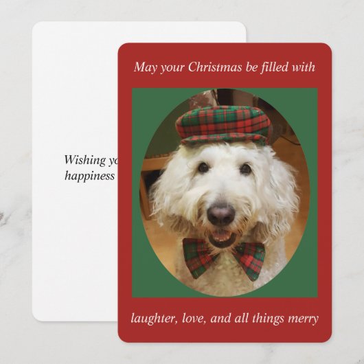 Carte de Noël de Goldendoodle (Devant / Derrière)