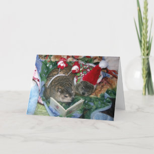 Carte de Noël de Groundhog