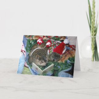 Carte de Noël de Groundhog