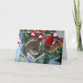 Carte de Noël de Groundhog (Devant)