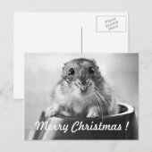 Carte de Noël de hamster (Devant / Derrière)