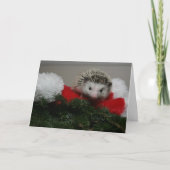 Carte de Noël de hérisson (Devant)