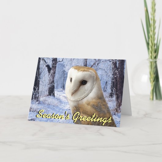 Carte de Noël de hibou de grange (Devant)