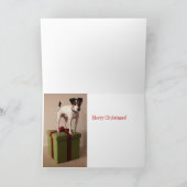 Carte de Noël de Jack Russell Terrier (Intérieur)