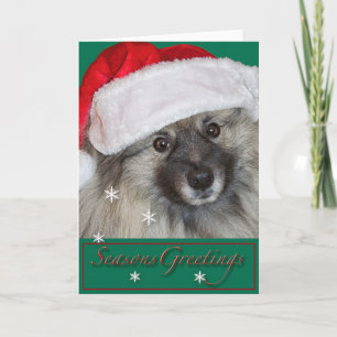 Carte de Noël de Keeshond